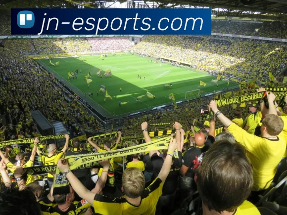 江南电竞app服务体系